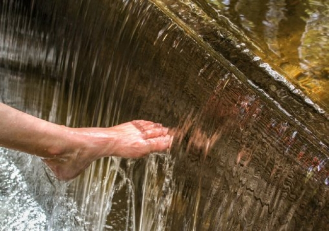 艾葉泡腳的方法-用艾草泡腳時(shí)，要記住禁忌哪些，很多人不懂，總是泡錯(cuò)？